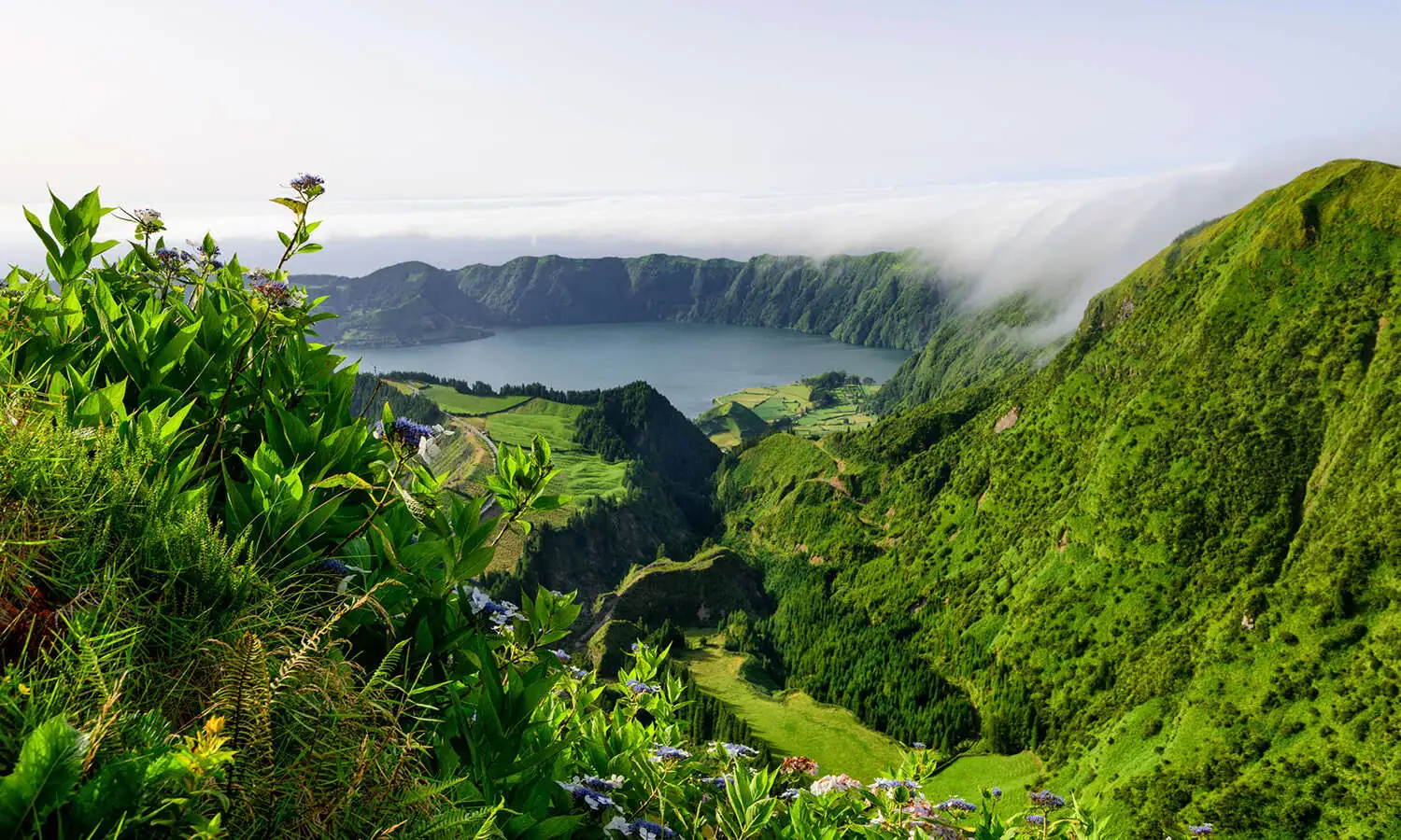 azores06.jpg