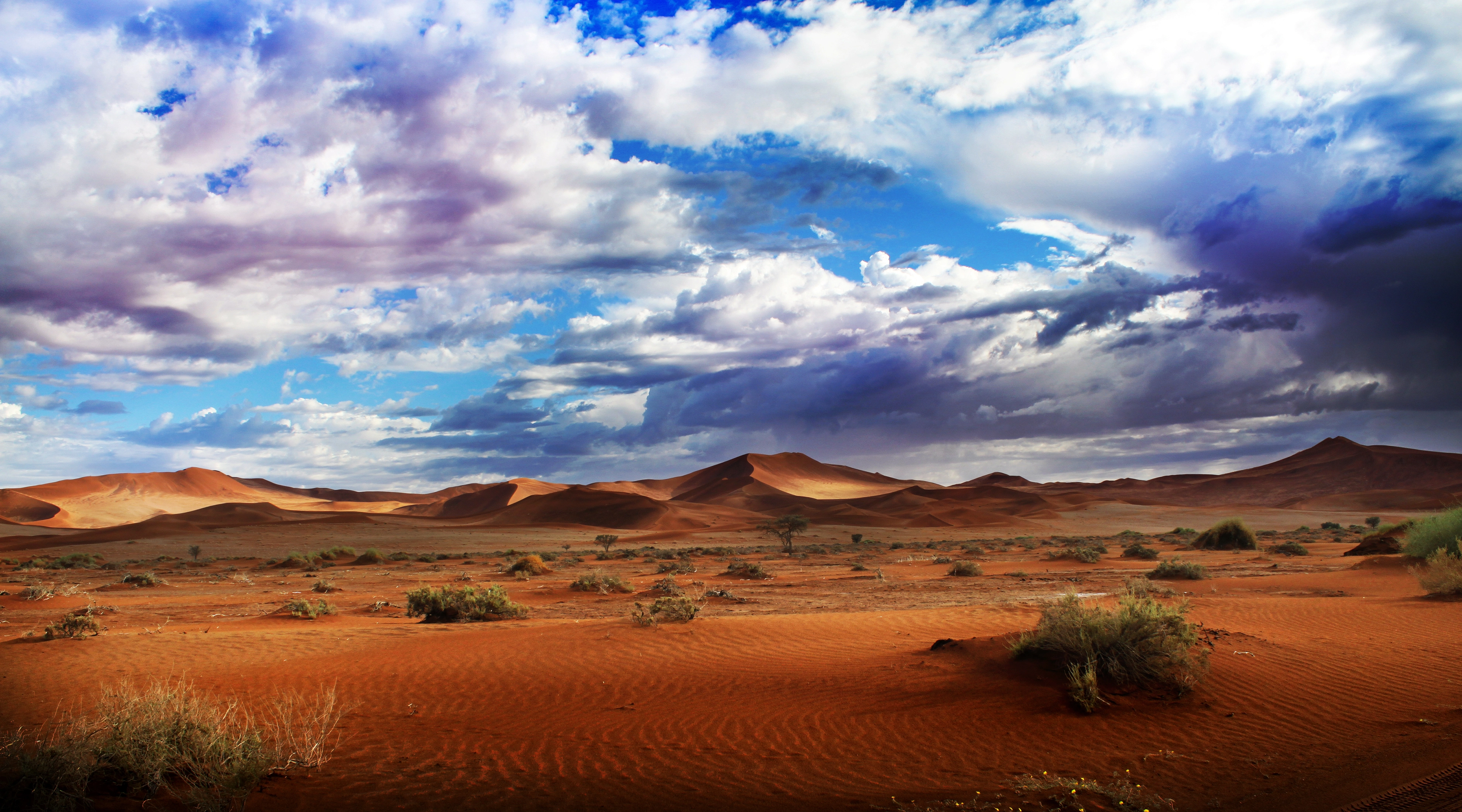 <sub>Surrender to Nature's Artistry: Namibia's Desert Dunes</sub>
