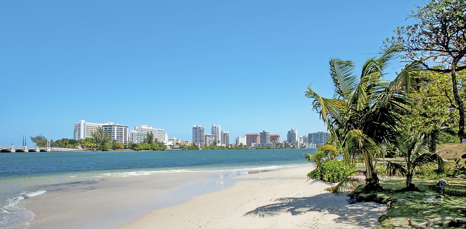 Your Drink Package Just Booked Your Vacation