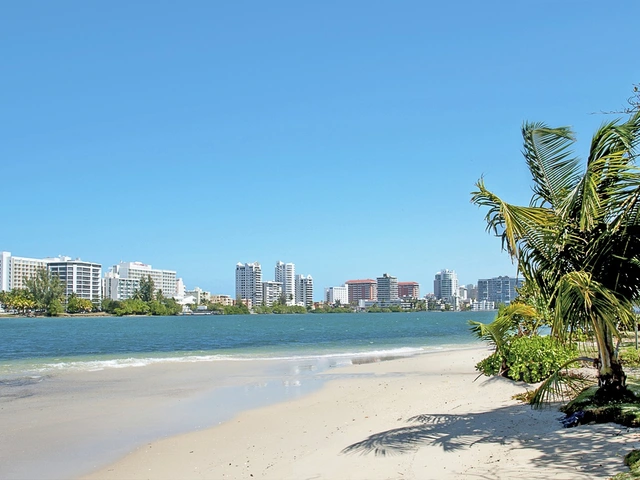 Your Drink Package Just Booked Your Vacation