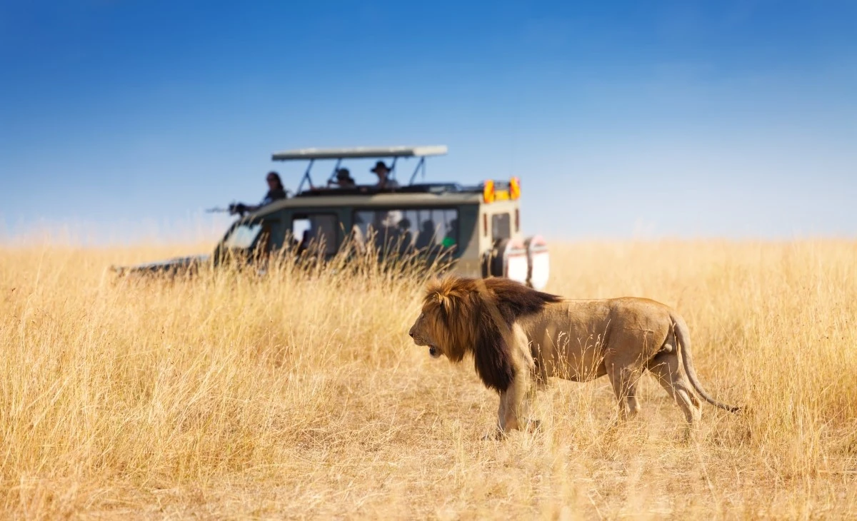 Discover your style.