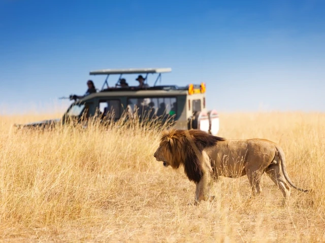 AdobeStock_127673234 - 1.jpg