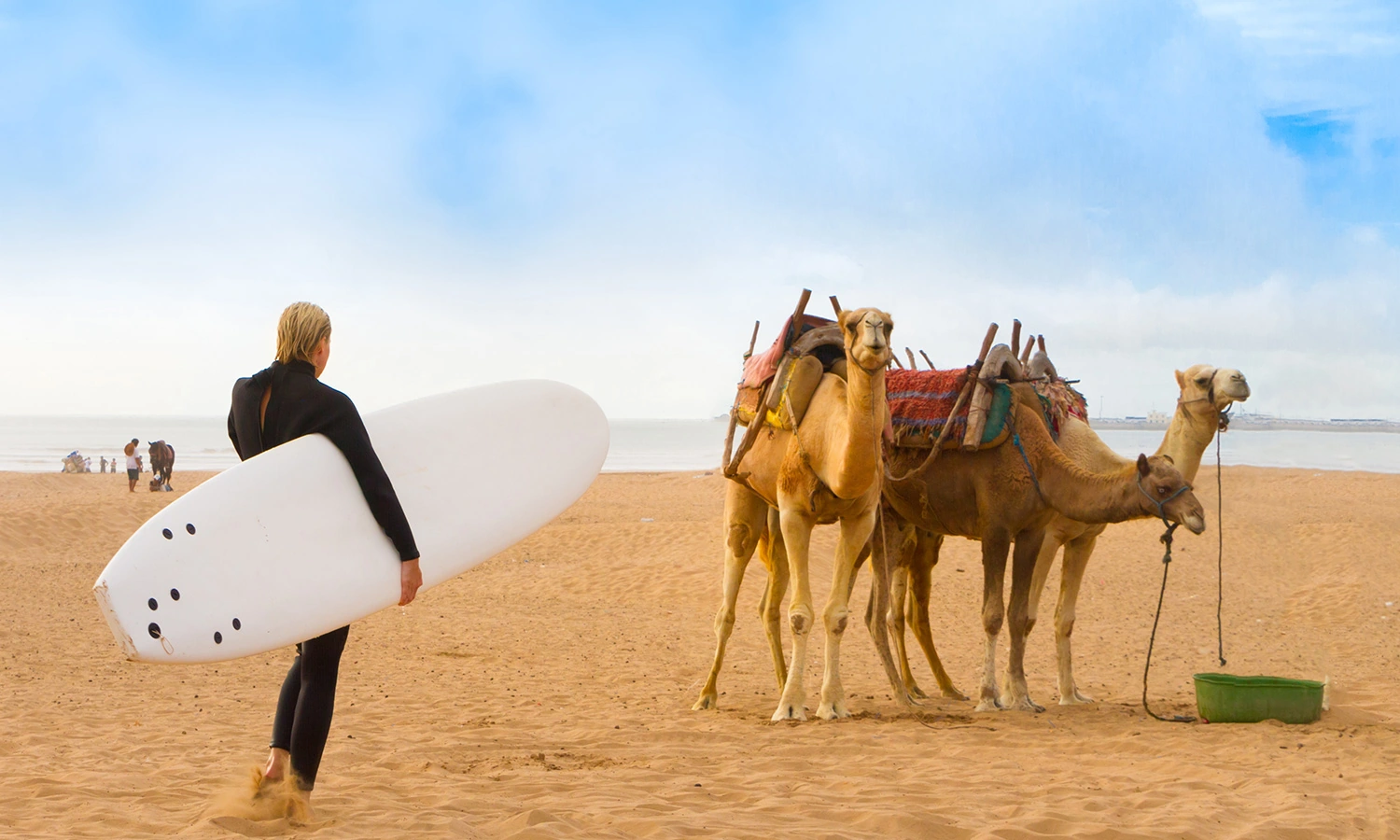 Morocco-Banner02.jpg