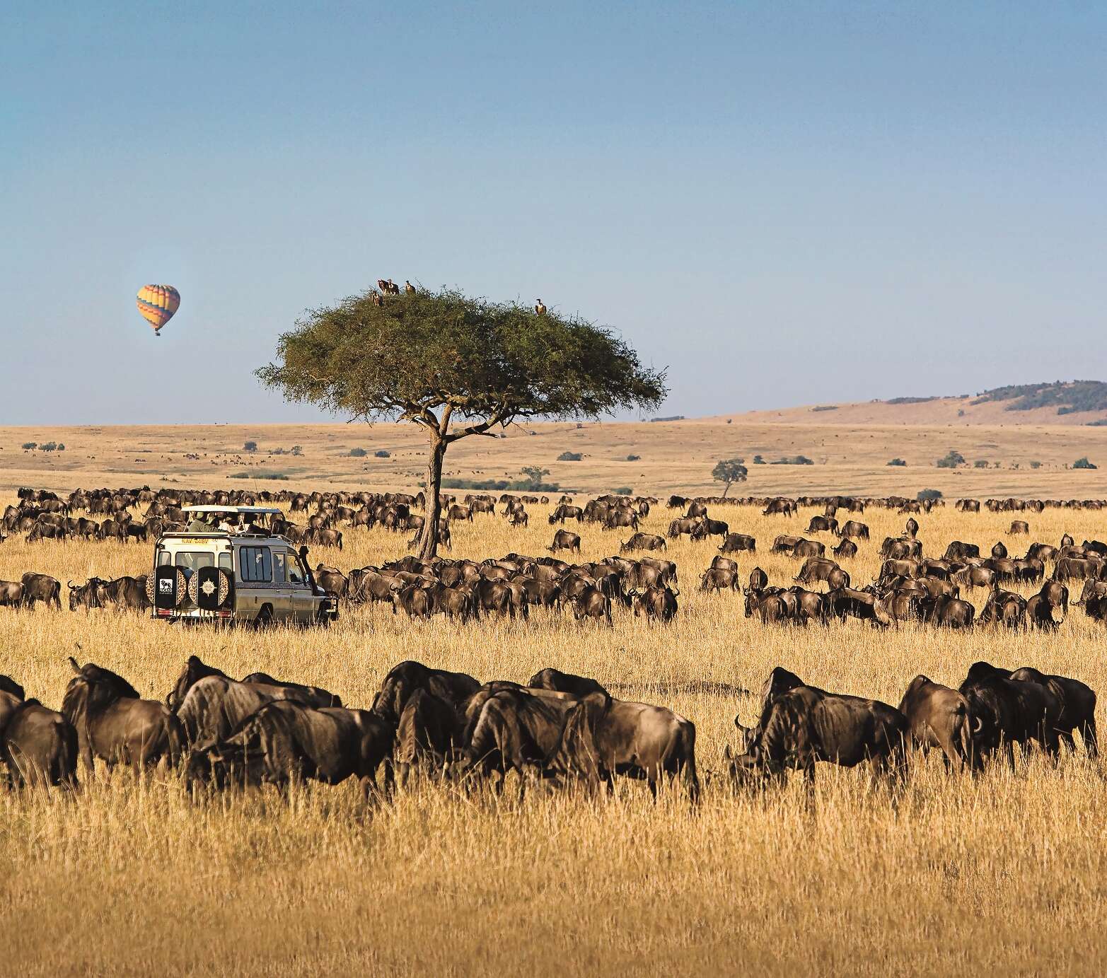 Micato Safaris
