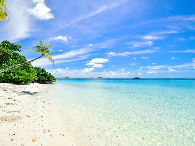 Asad Photo Maldives @ Pexels, https://www.pexels.com/@asadphoto, ID: 457882