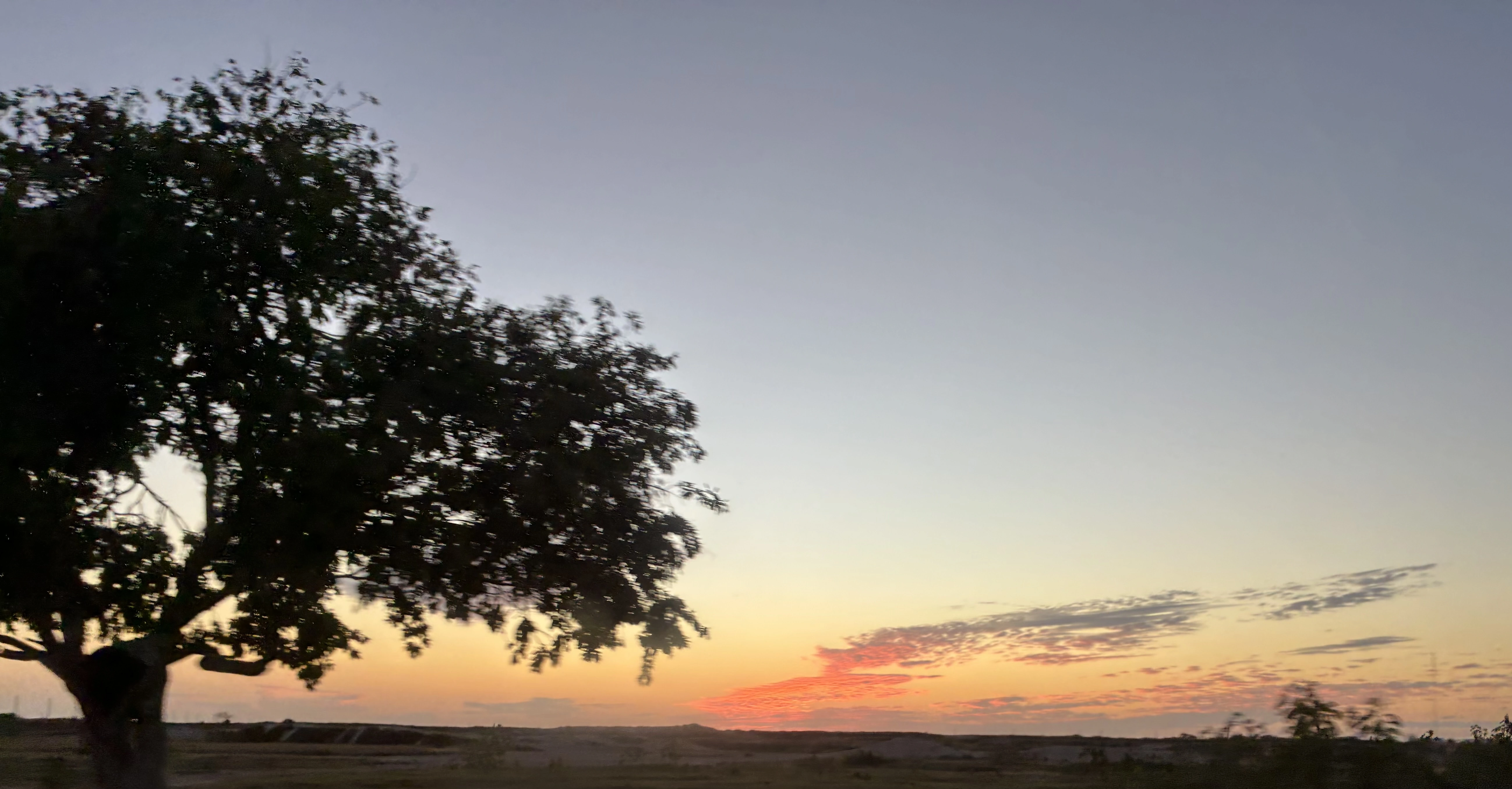 A Perfect Day in Progreso, Yucatan