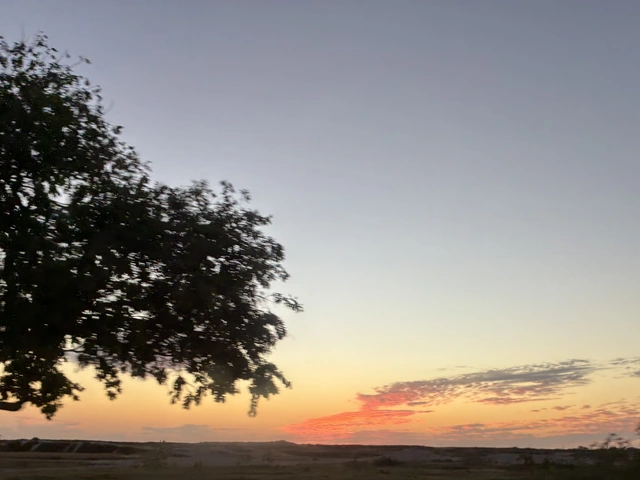 A Perfect Day in Progreso, Yucatan