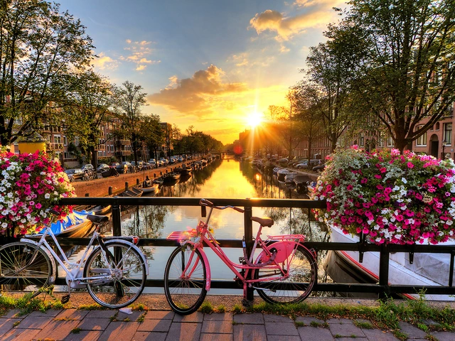 The Netherlands