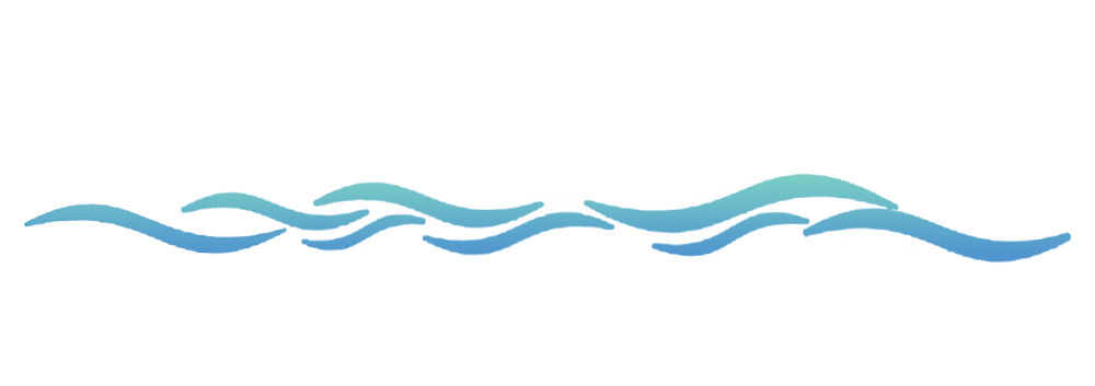 Surf to Summit Travel Collective