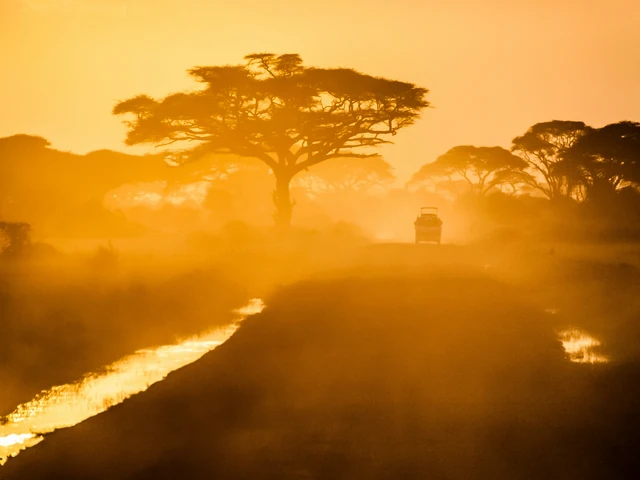 A Southern African Safari
