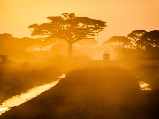 A Southern African Safari