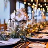 Nature of Love Wedding Package