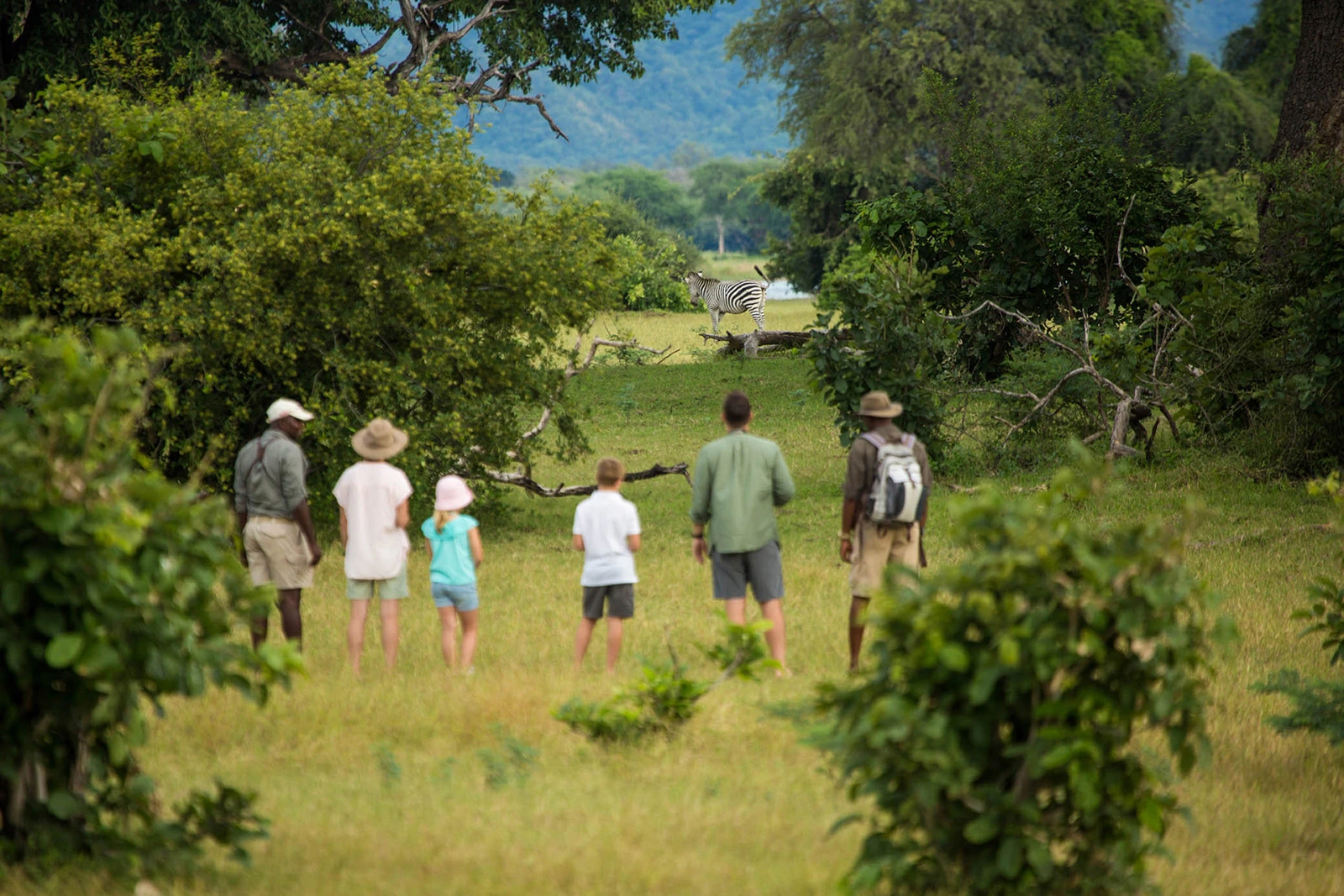 11Great-Plains-Zanji-Suite-at-Tembo-Plains-safari-walk-with-zebra.jpg