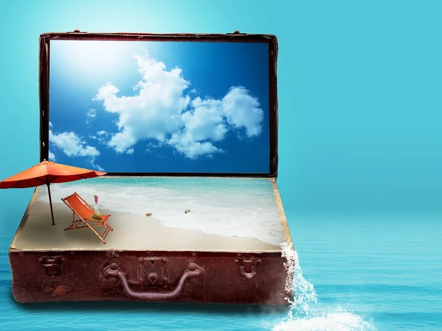 Why do people consider using a travel advisor?