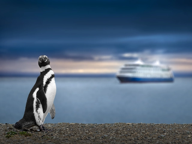 The Top Ten Expedition Cruises: Embark on Unforgettable Adventures with Best Expedition Cruises