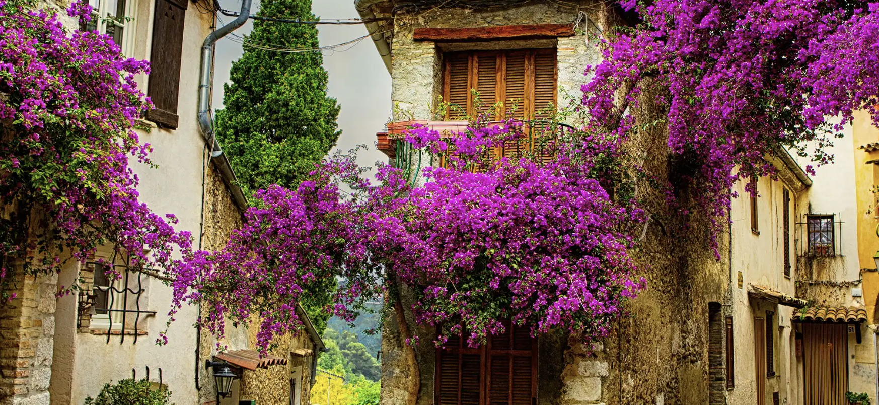 Experience the Colors of Provence - Join Our Group in October 2025 - Early Booking Pricing!
