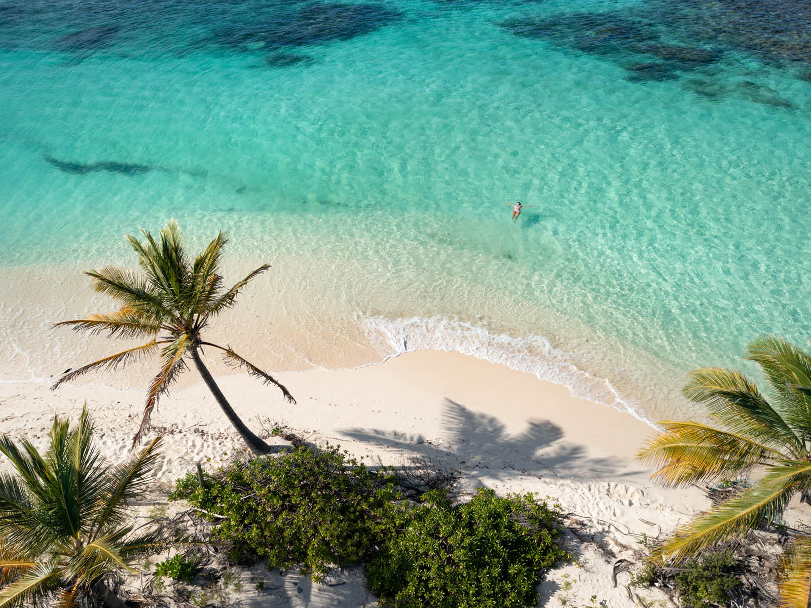 March Madness Starts Now! Exclusive Savings with Sunquest