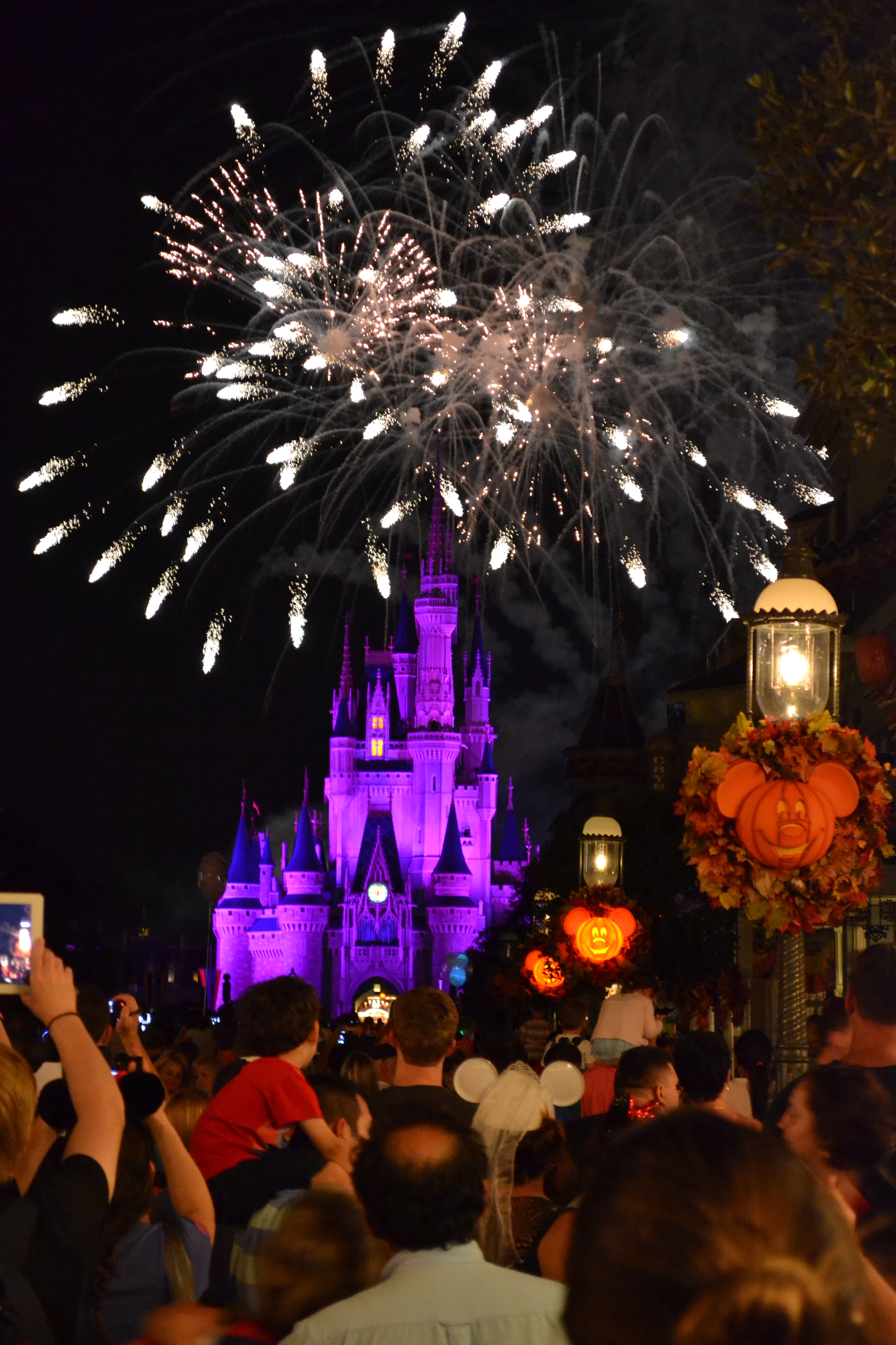 Our Epic Disney World Adventure: Magic, Memories, and So Much Fun!