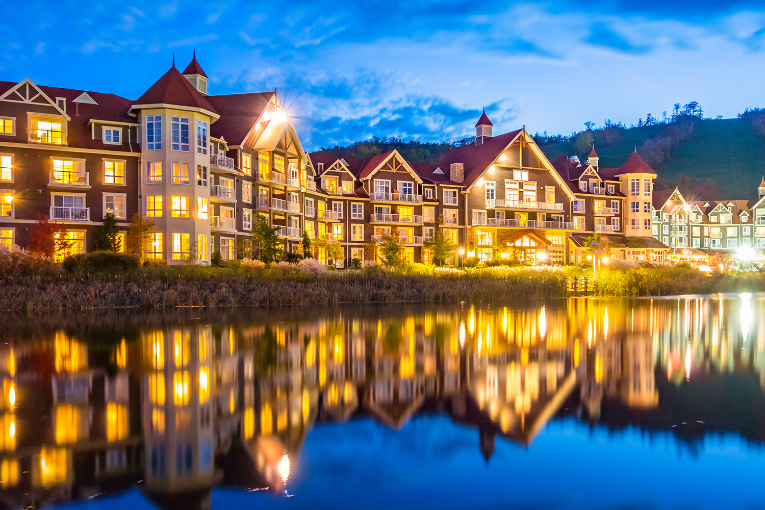 Blue Mountain Private Day Trip