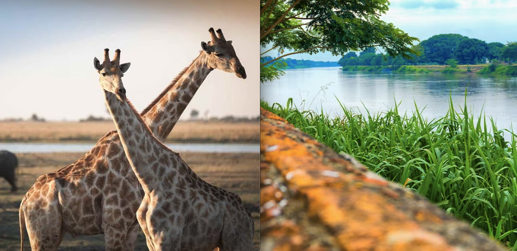 Unique River Cruises with AmaWaterways