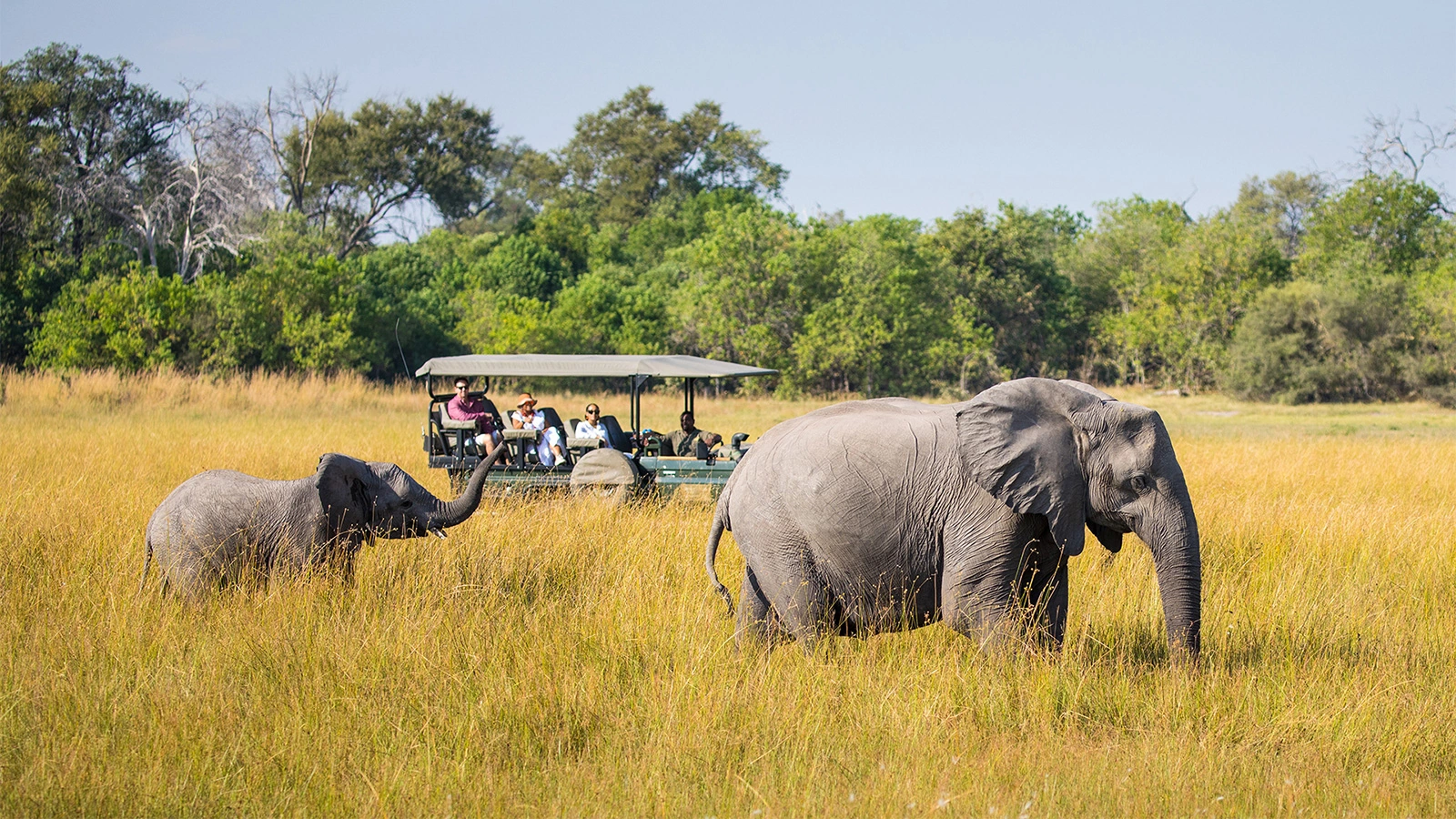 11Great-Plains-Selinda-Suite-safari-drive-experience.jpg