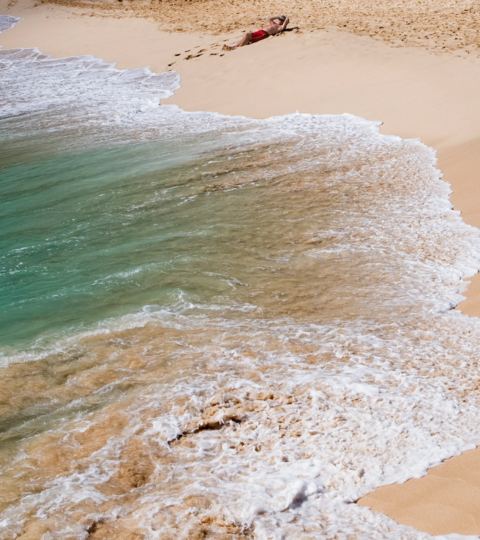 WestJet Vacations
