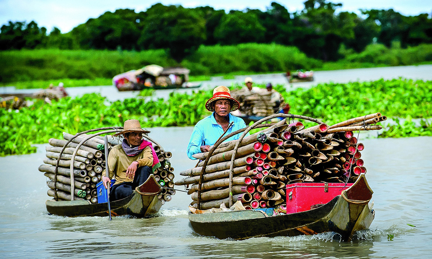 Cruise | Ho Chi Minh City