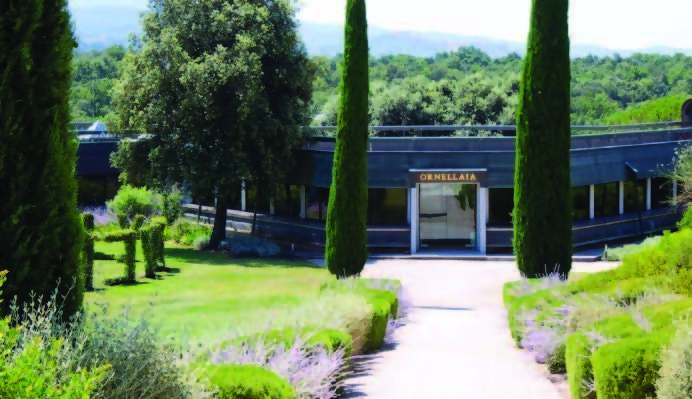 Montecatini (Super Tuscan)