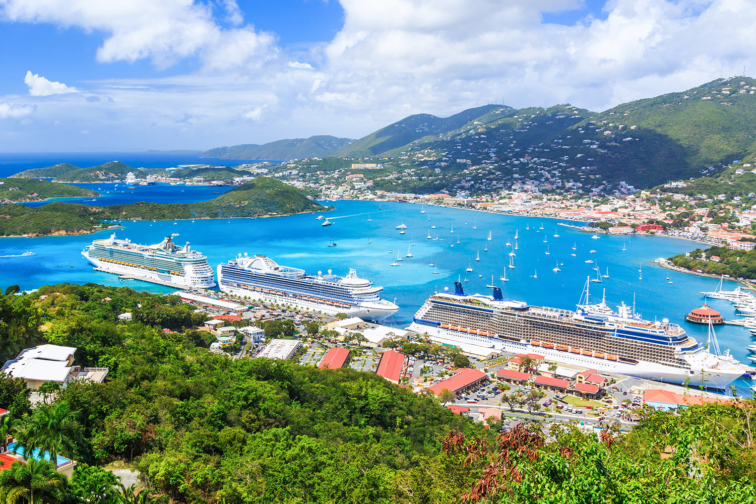 Ocean and River Cruises