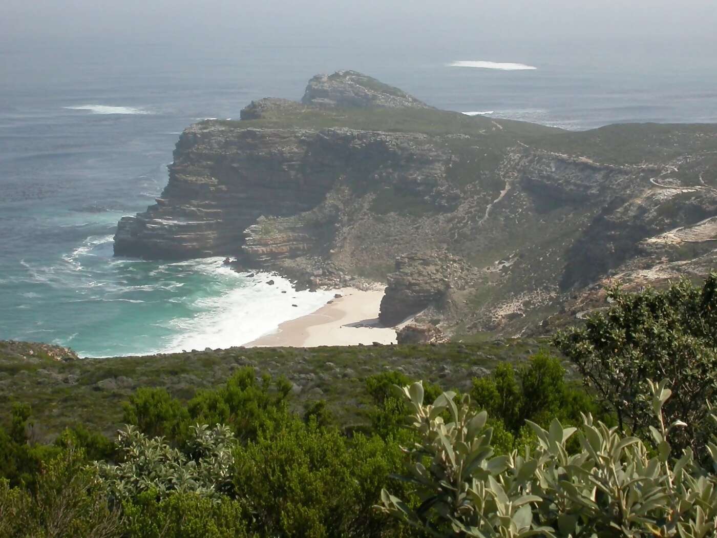Full day tour of the Cape Peninsula and evening at leisure