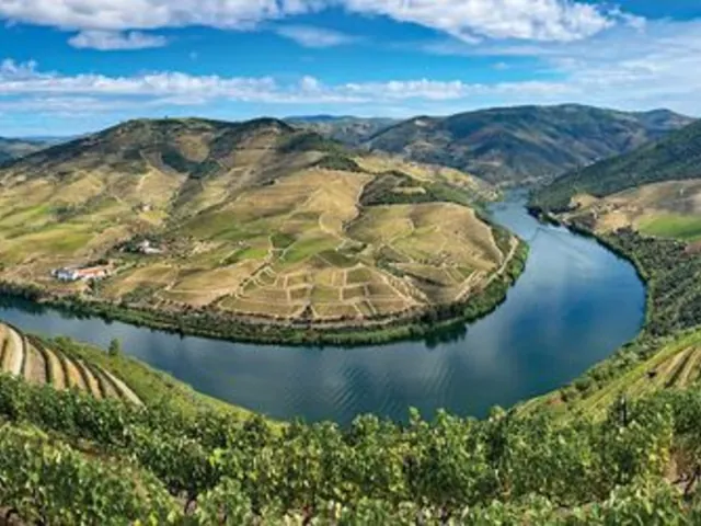 Vida Portugal: Vineyards & Villages Along the Douro with 3 Nights in Lisbon
