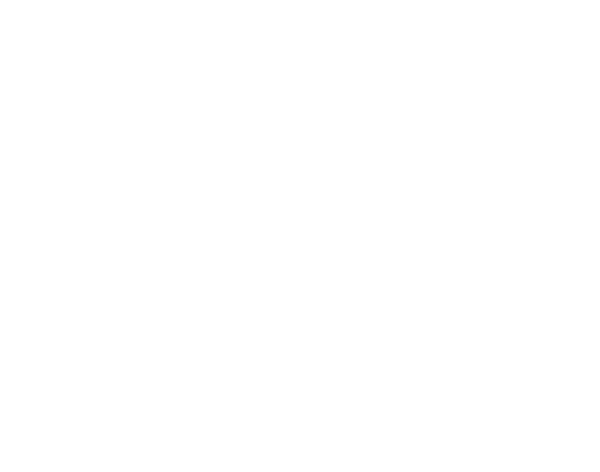 Ticket