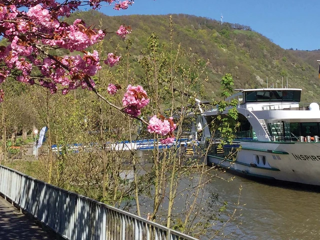 Tauck River Cruises