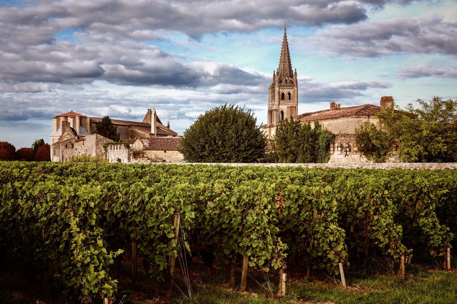 Unlock a Complimentary Land Package and Up to $300 Onboard Credit on Select 2026 and 2027 Cruises