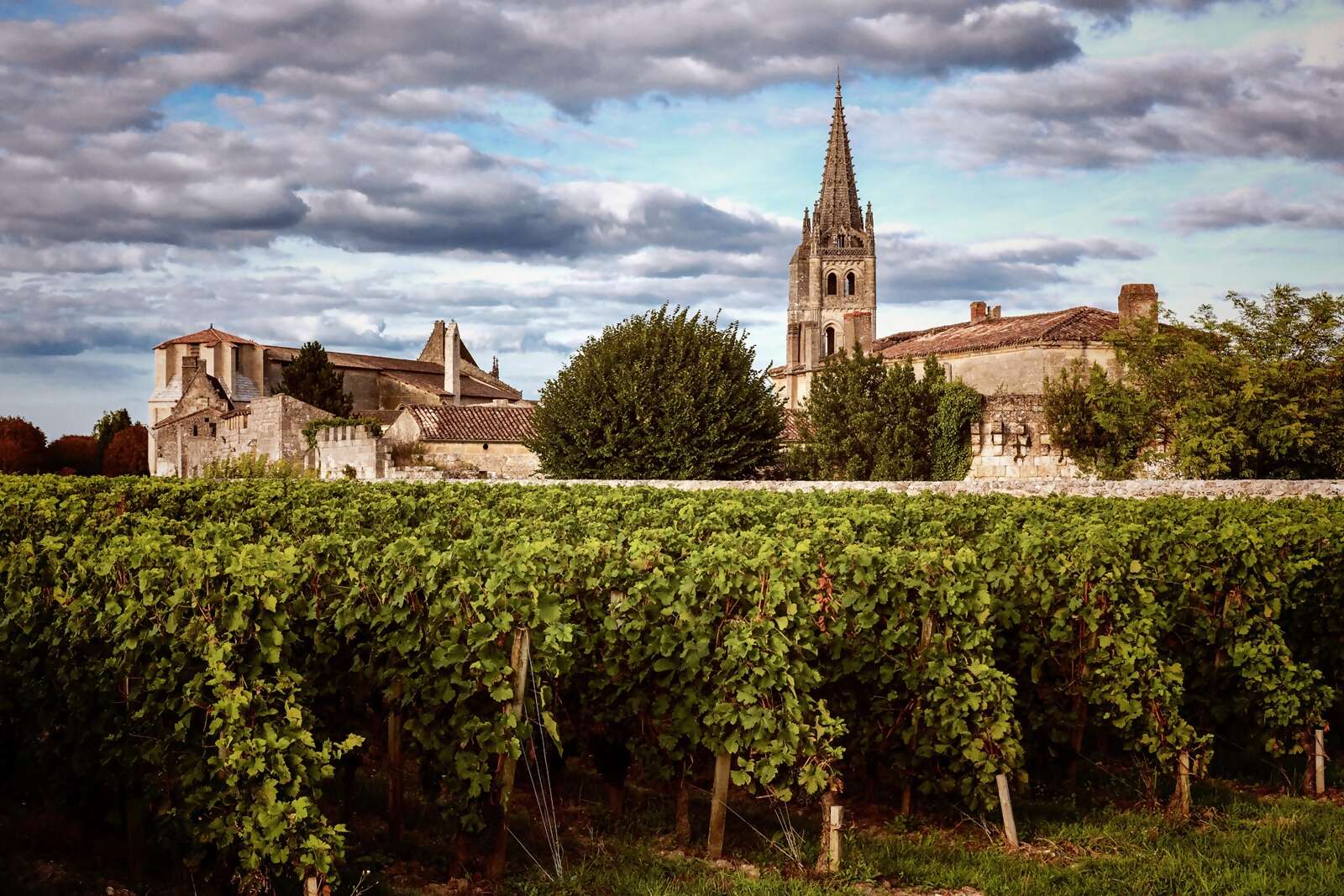 Unlock a Complimentary Land Package and Up to $300 Onboard Credit on Select 2026 and 2027 Cruises