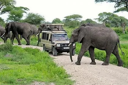 DAY 2: TRANSFER TO AKAGERA N. P – SHORT SAFARI- SUNSET BOAT RIDE ON LAKE IHEMA