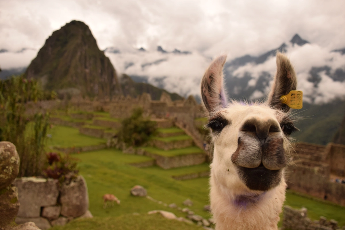 October 21 - Aguas Calientes - Hatun Inti Boutique - 1 night - Breakfast