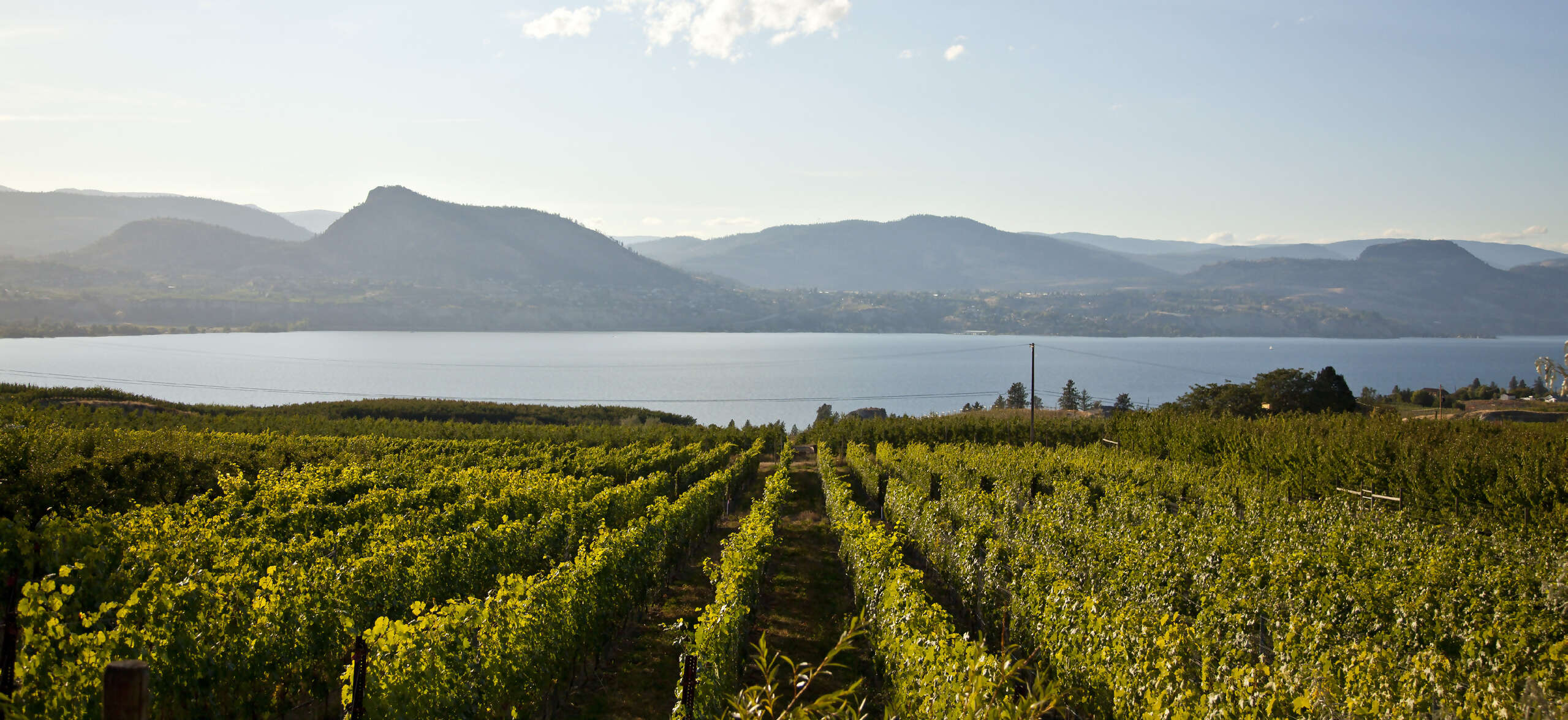 Explore your BC Backyard Time for an Adventure — Independent self-drives