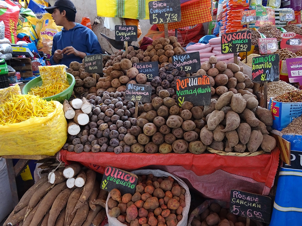 Arequipa – Hotel El Conquistador
