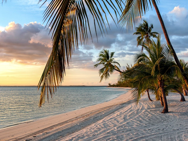 Beach Vacations