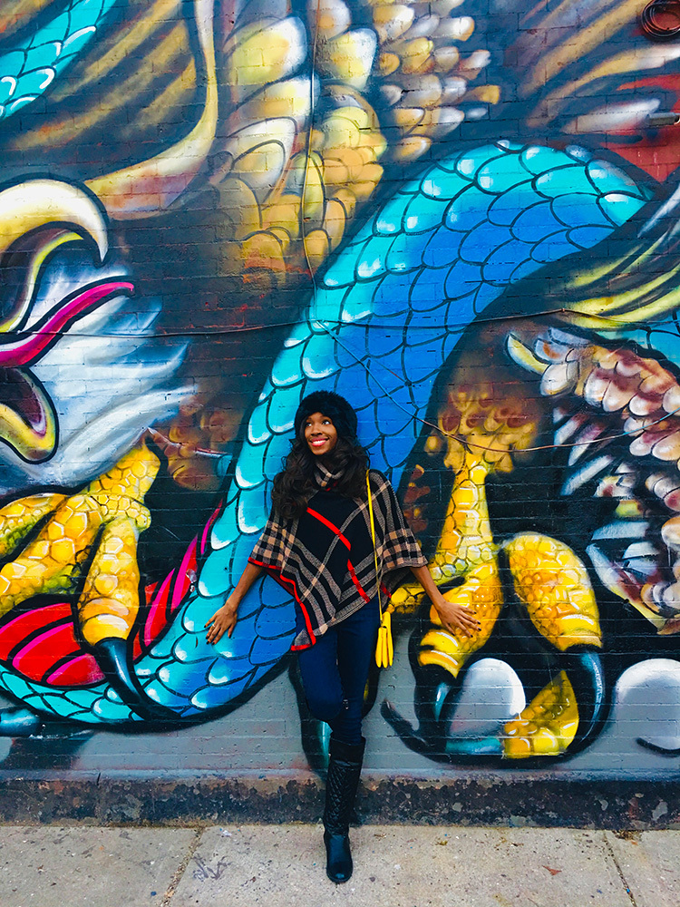 Snag a Low Cost Flight