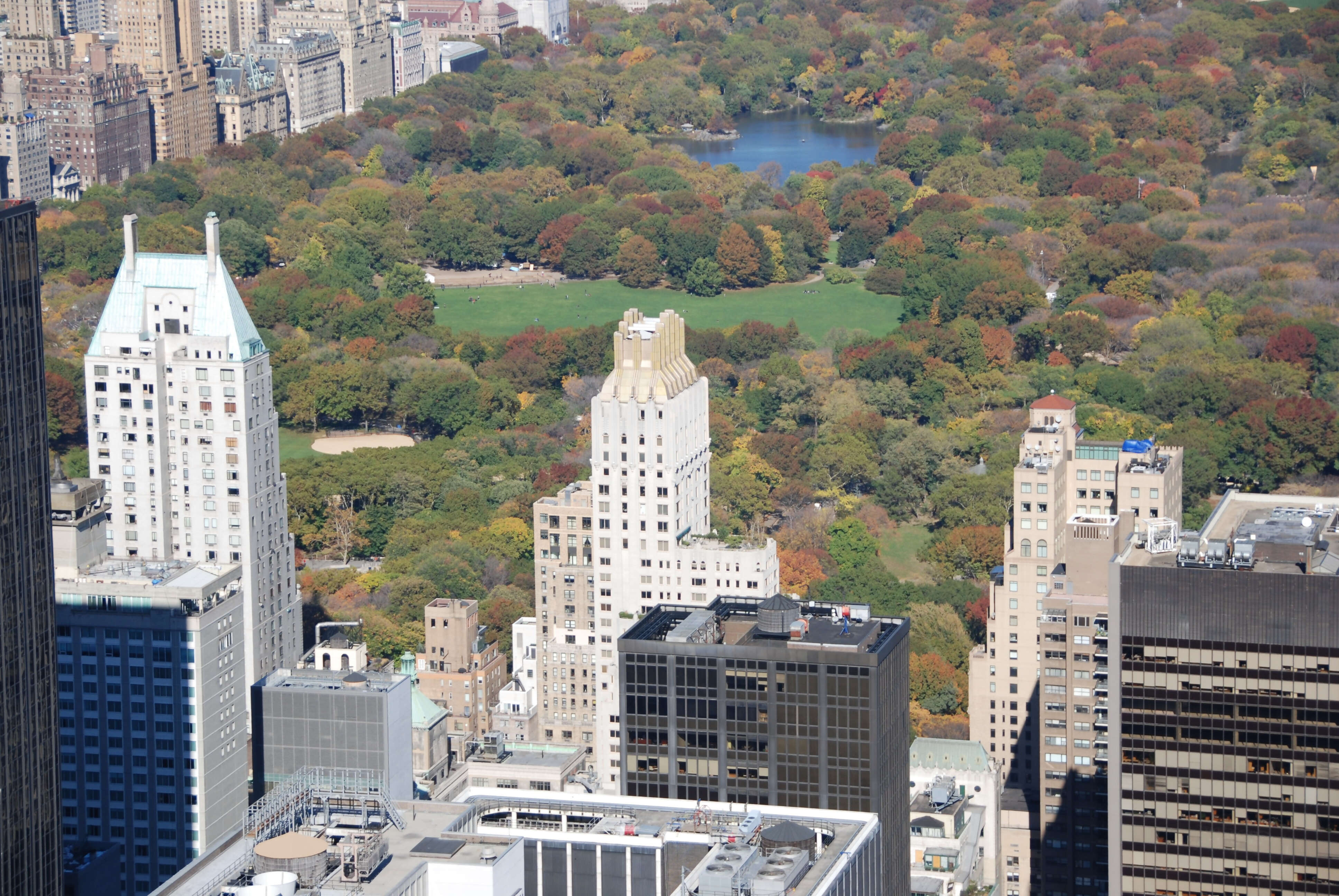 Central Park & Fifth Avenue