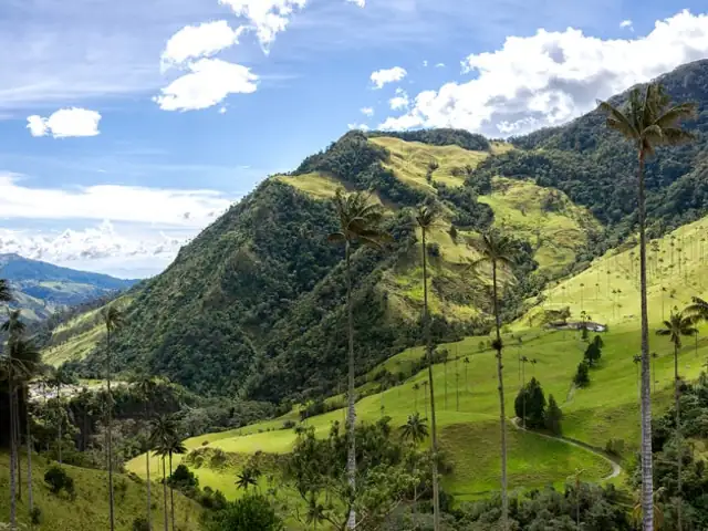 Join Us! Classic Colombia Tour: February 21st to March 7th, 2020