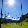 Plan your Travel with Discovery Tours Est. 1995