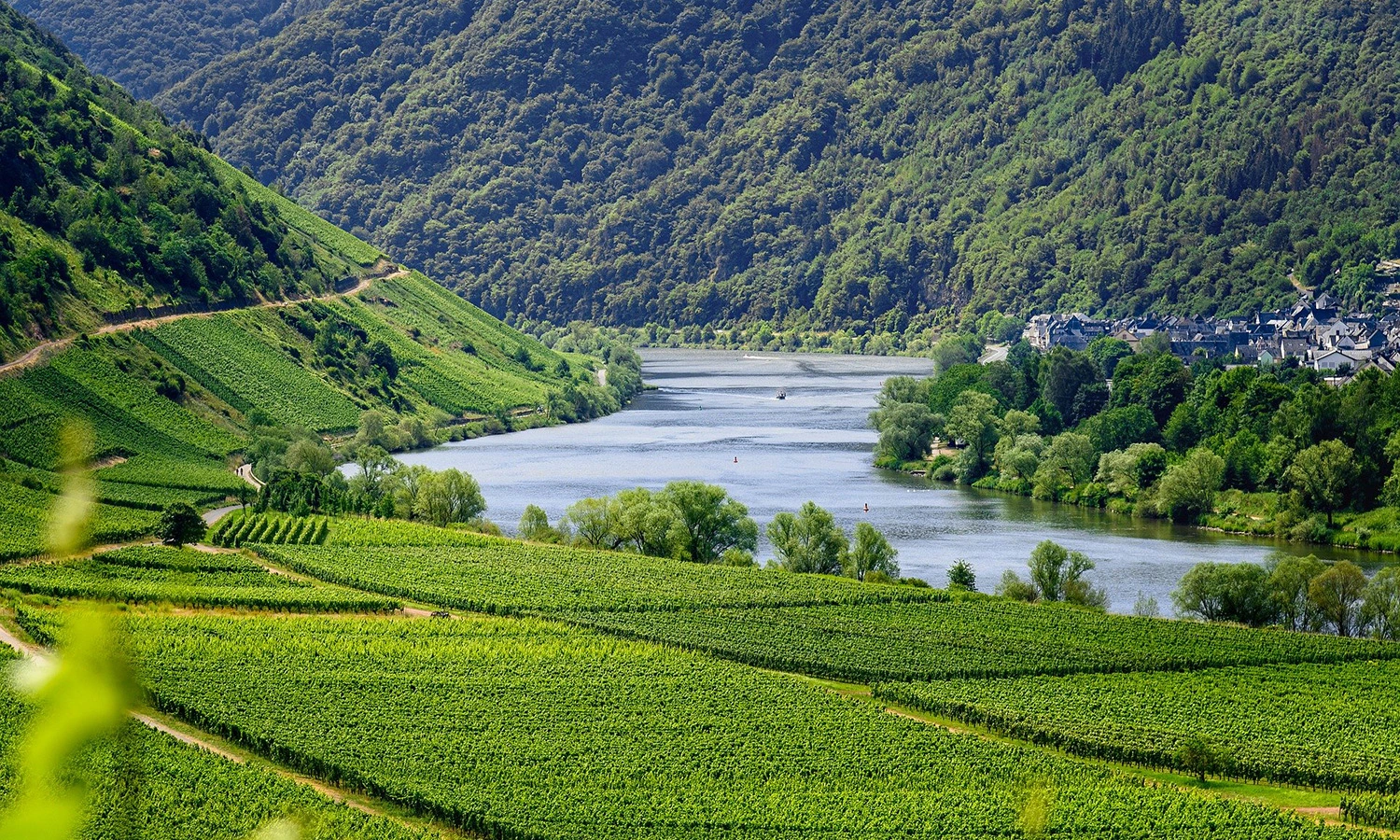 Douro
