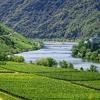 Portugal's Culinary Delight