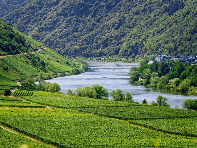 Portugal's Culinary Delight