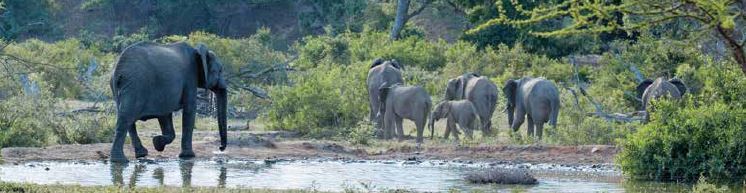 Southern Explorer 2019