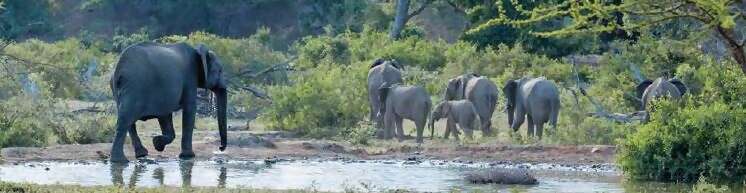 Southern Explorer 2019