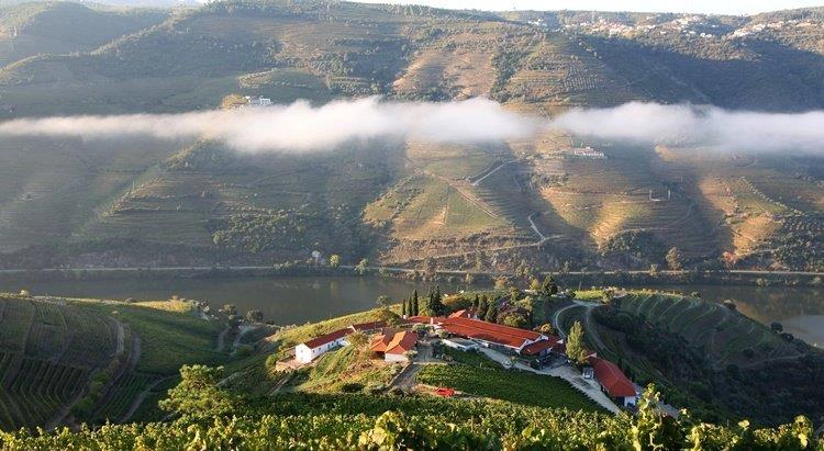Douro region